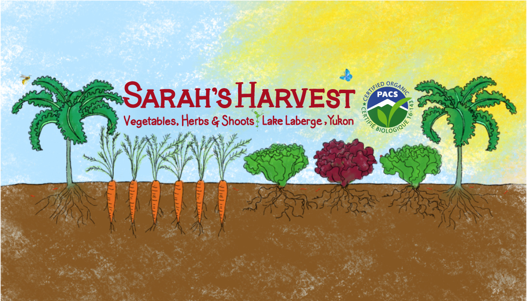 Sarah's Harvest logo