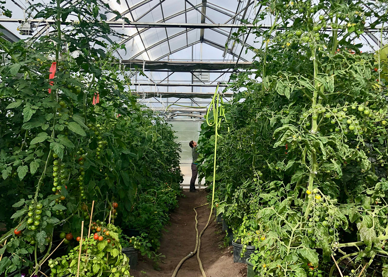 Passive Solar Greenhouse – Sarah's Harvest – Market Garden